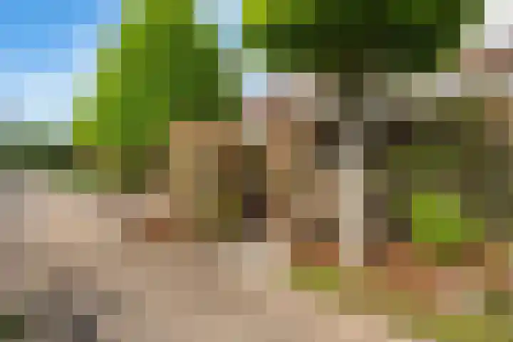 Augustijnenhove 17 Leusden thumbnail 34