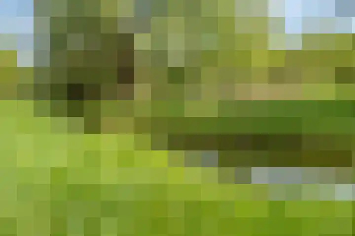 Augustijnenhove 17 Leusden thumbnail 36