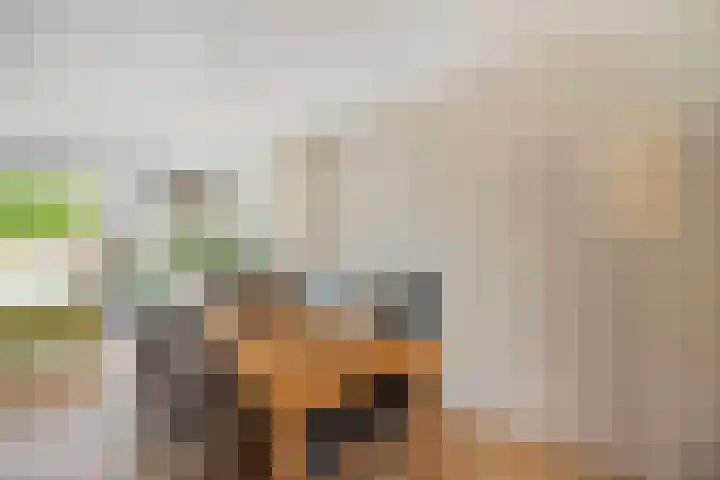 Augustijnenhove 17 Leusden thumbnail 5