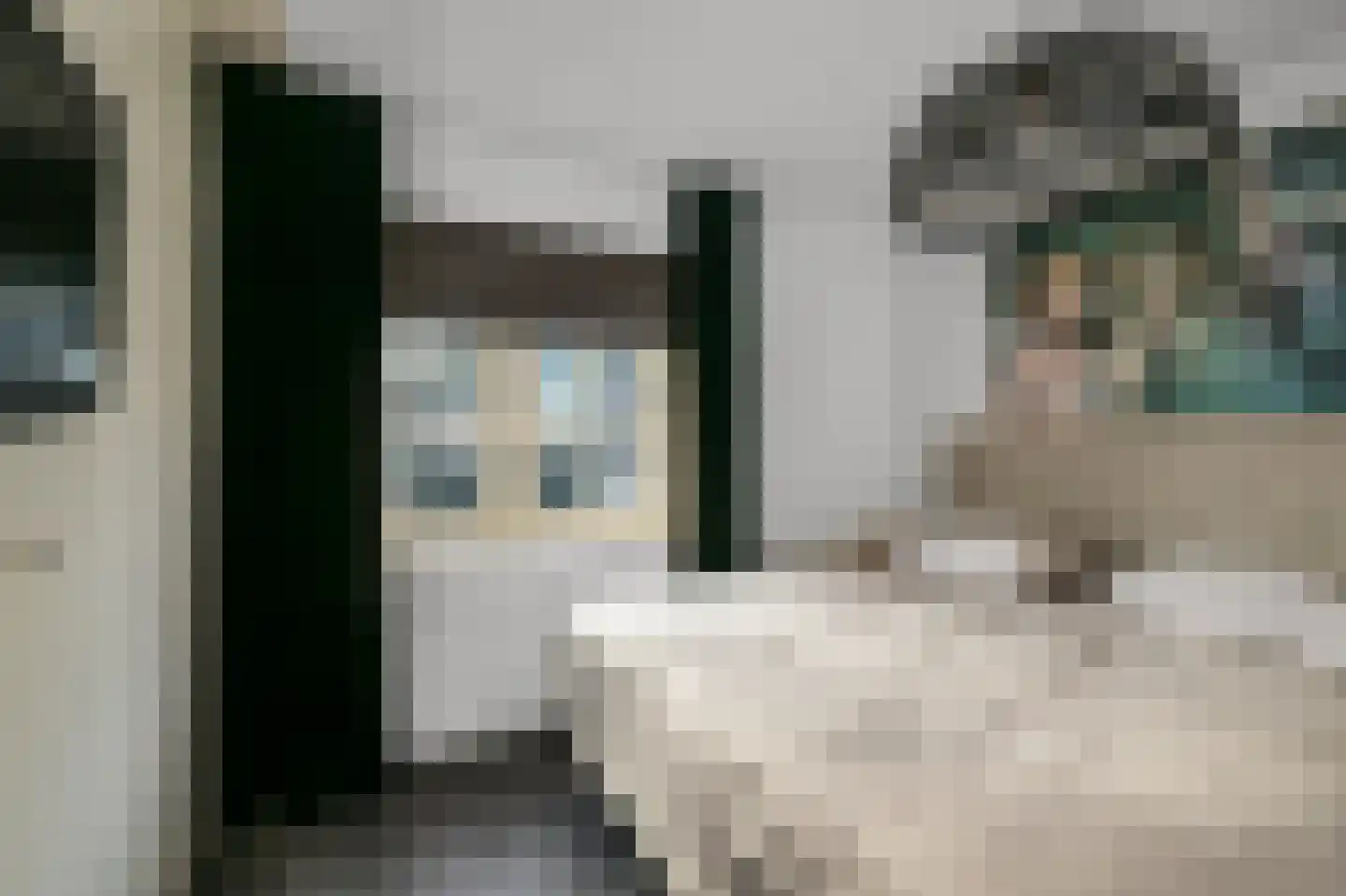 Augustijnenlaan 31 Alphen aan den Rijn thumbnail 18