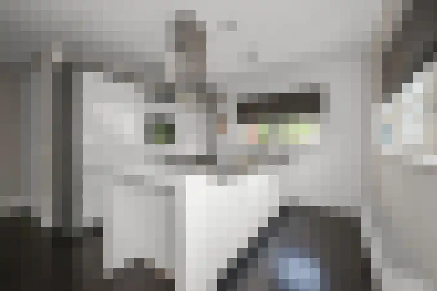Augustijnenlaan 31 Alphen aan den Rijn thumbnail 4