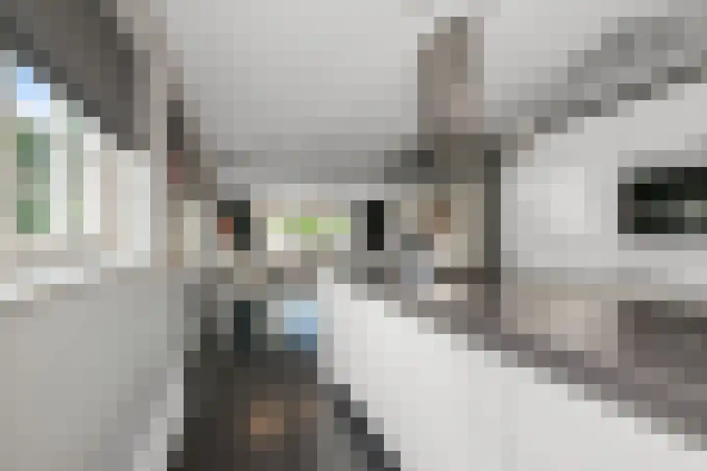 Augustijnenlaan 31 Alphen aan den Rijn thumbnail 8