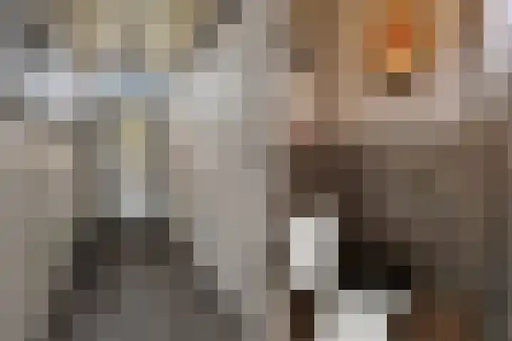 Augustijnenstraat 22 Gaanderen thumbnail 19