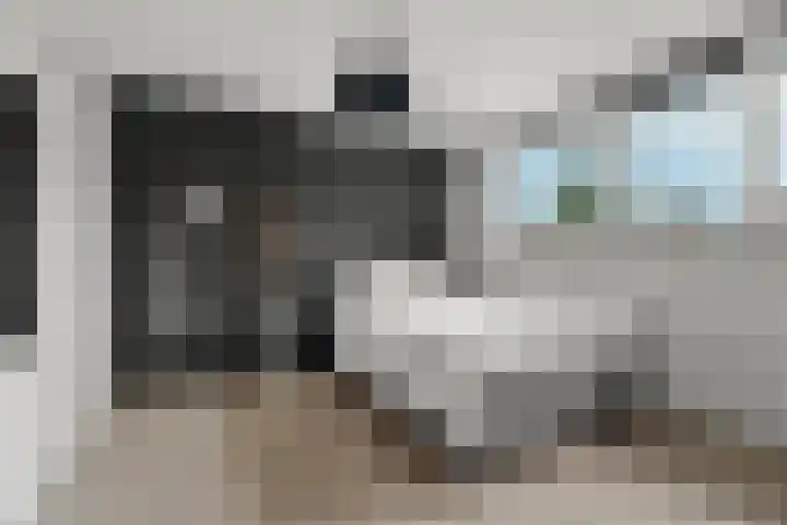 Augustijnenstraat 22 Gaanderen thumbnail 21