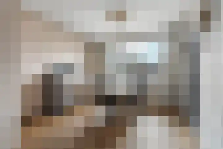 Augustijnenstraat 22 Gaanderen thumbnail 9