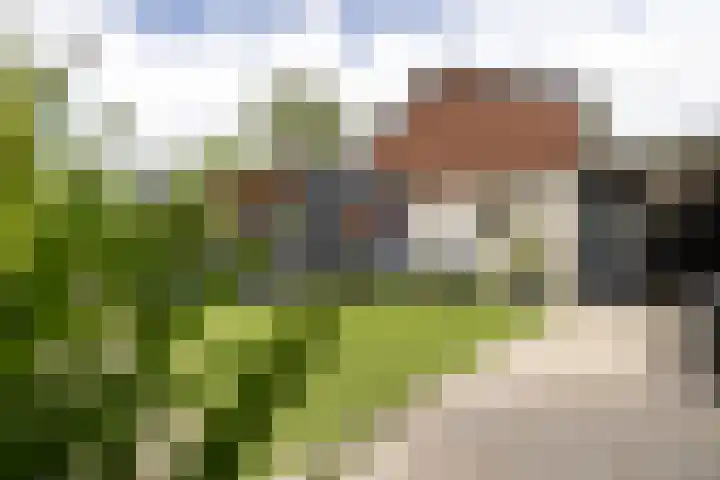Augustijnenstraat 4 Gaanderen thumbnail 19