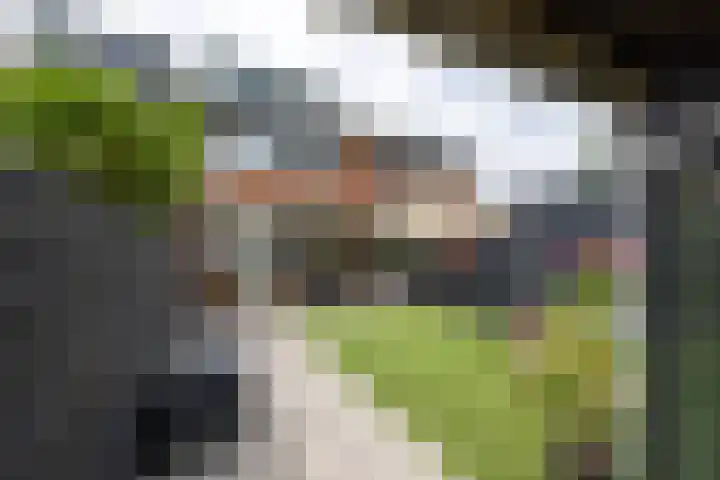 Augustijnenstraat 4 Gaanderen thumbnail 20