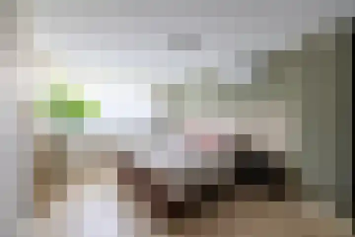 Augustijnenstraat 4 Gaanderen thumbnail 23