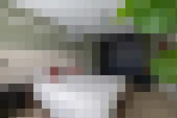 Augustijnenstraat 4 Gaanderen thumbnail 24