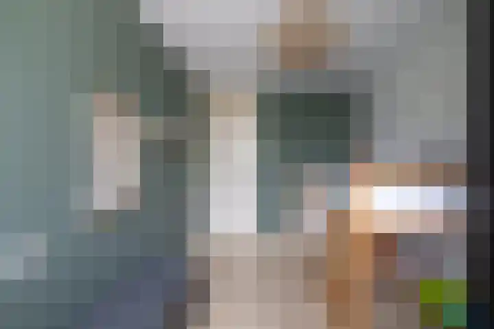 Augustijnenstraat 4 Gaanderen thumbnail 28