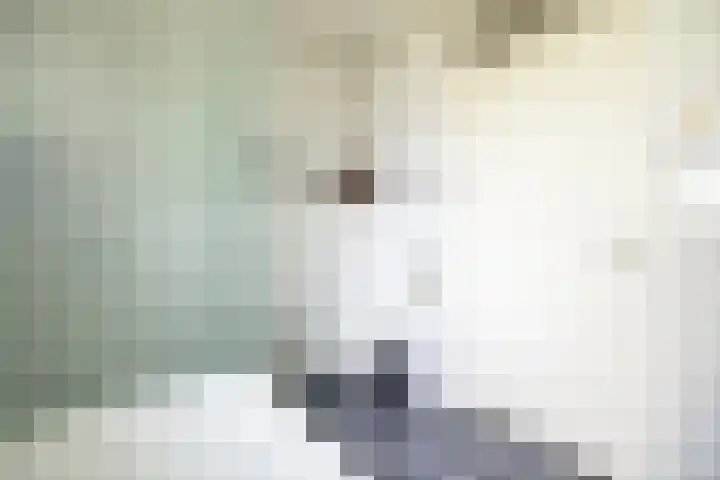 Augustijnenstraat 4 Gaanderen thumbnail 32