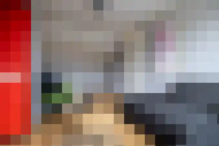 Augustijnenstraat 4 Gaanderen thumbnail 38