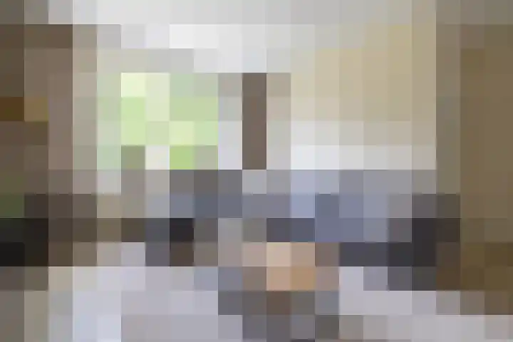 Augustijnenstraat 4 Gaanderen thumbnail 4