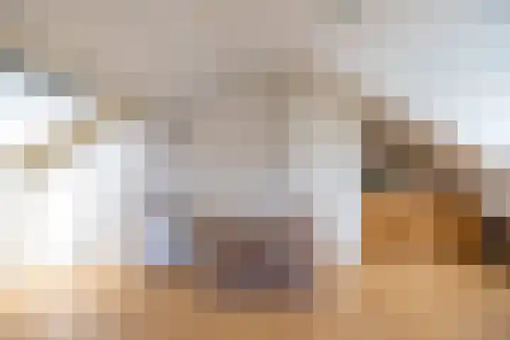 Augustijnenstraat 4 Gaanderen thumbnail 40