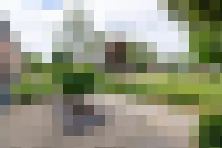 Augustijnenstraat 4 Gaanderen thumbnail 43