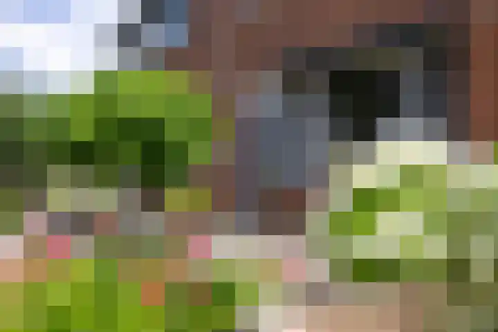 Augustijnenstraat 4 Gaanderen thumbnail 44