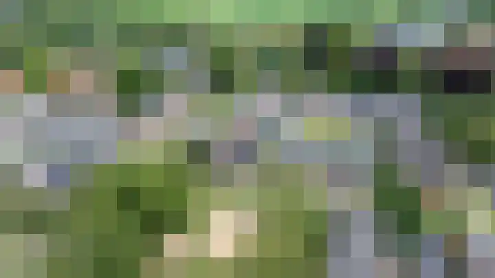 Augustijnenstraat 4 Gaanderen thumbnail 50