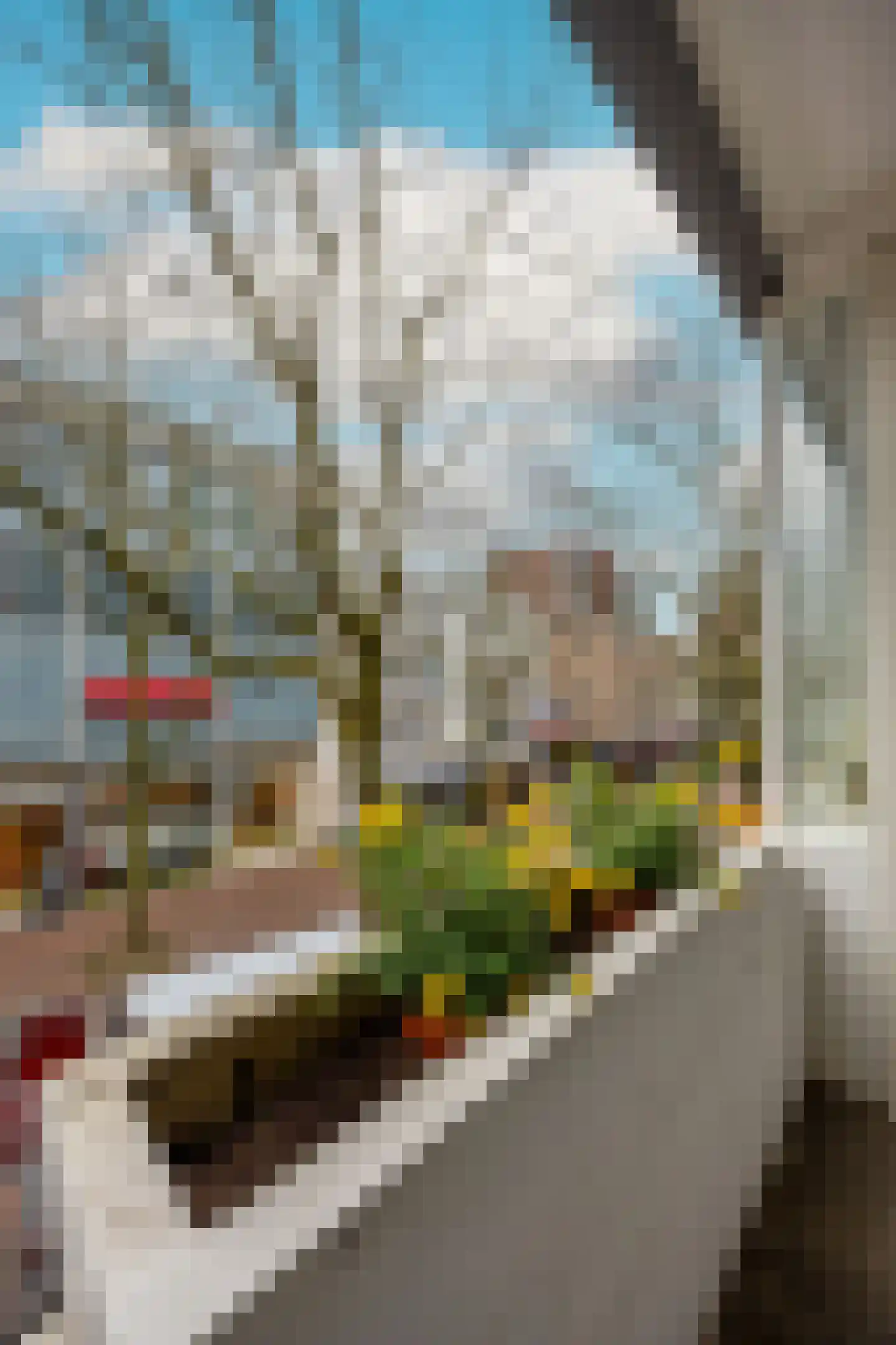 Augustijnenstraat 51 Nijmegen thumbnail 25