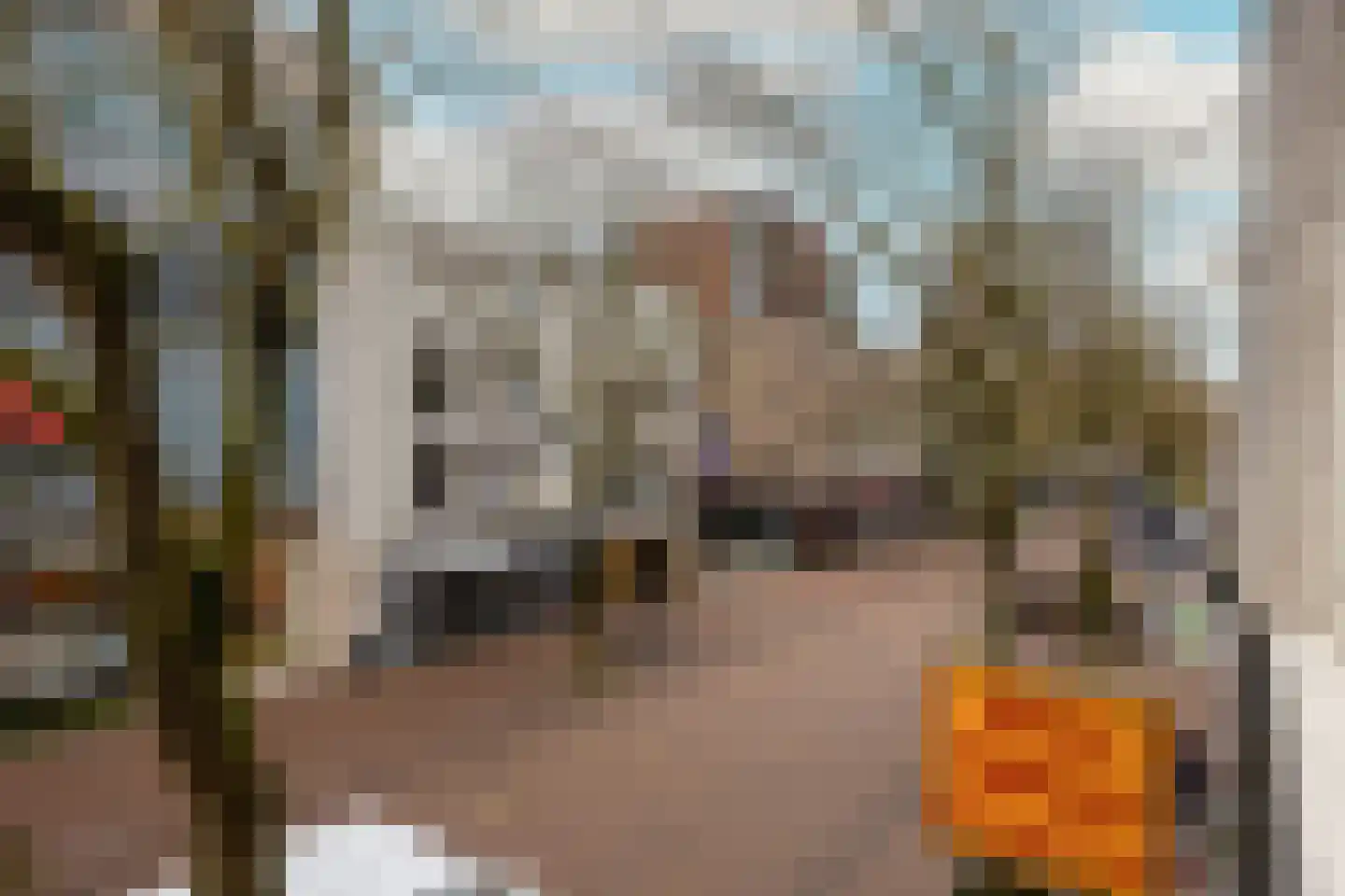 Augustijnenstraat 51 Nijmegen thumbnail 27
