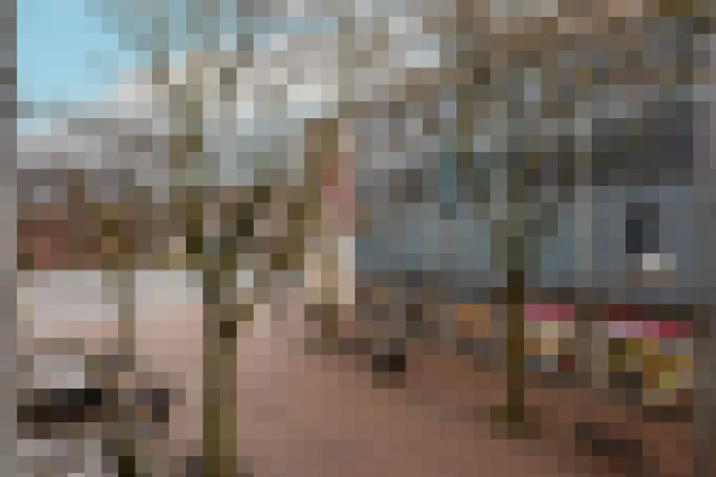 Augustijnenstraat 51 Nijmegen thumbnail 5