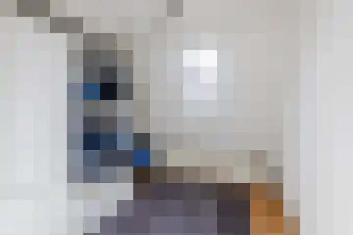 Augustijnsteeg 2 A Alkmaar thumbnail 12