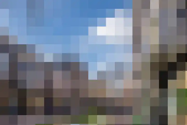 Augustijnsteeg 2 A Alkmaar thumbnail 22