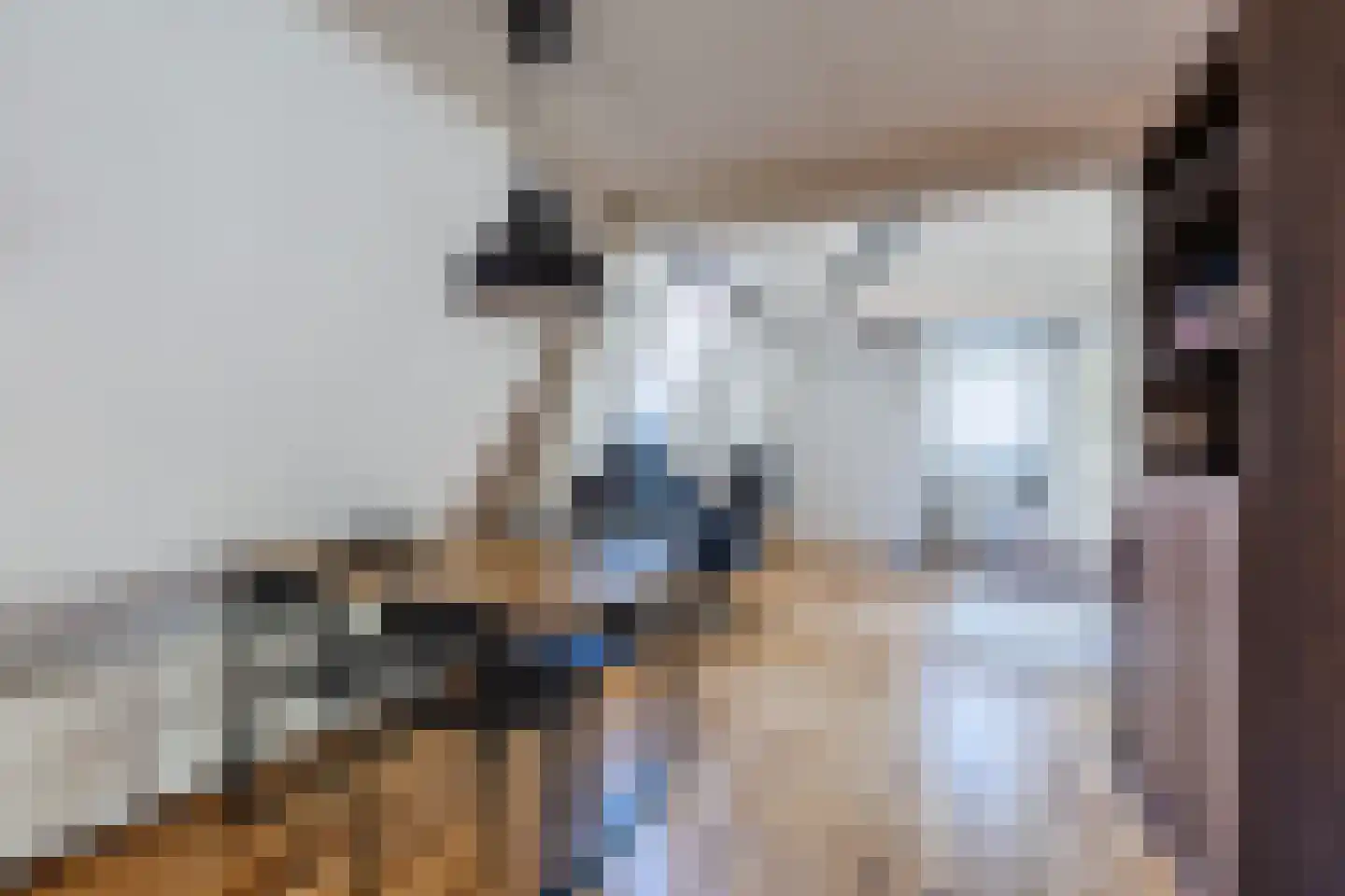 Augustijnsteeg 2 A Alkmaar thumbnail 5