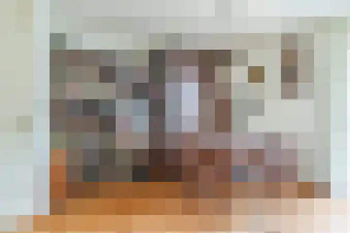 Augustinessenborch 1 Rosmalen thumbnail 12