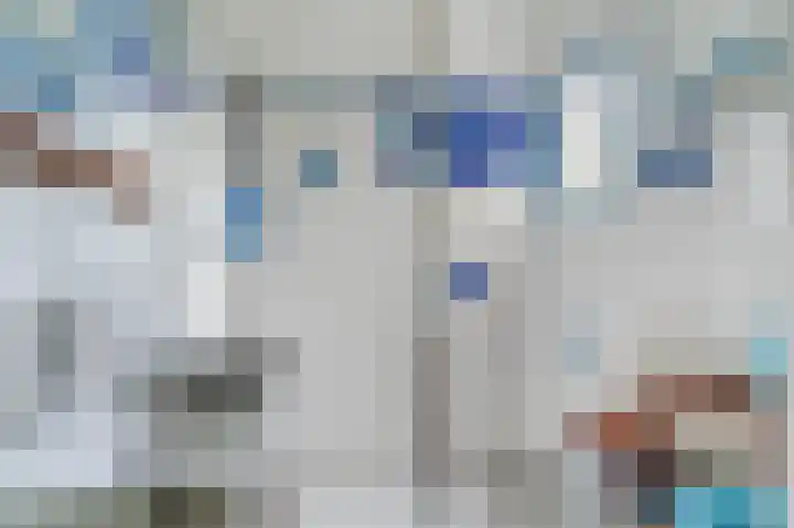 Augustinessenborch 1 Rosmalen thumbnail 27