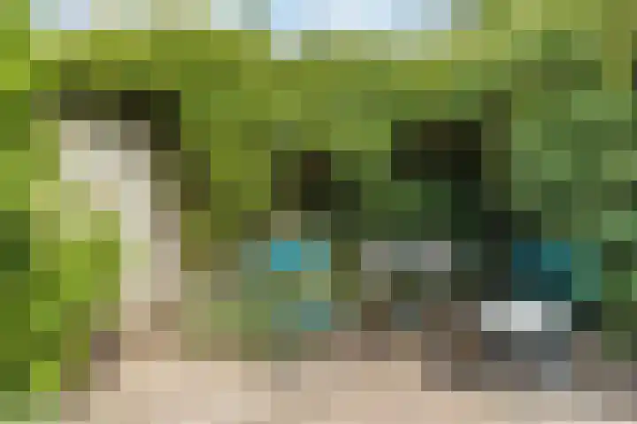 Augustinessenborch 1 Rosmalen thumbnail 30