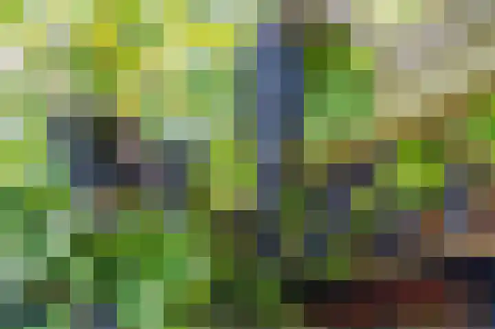 Augustinessenborch 1 Rosmalen thumbnail 32