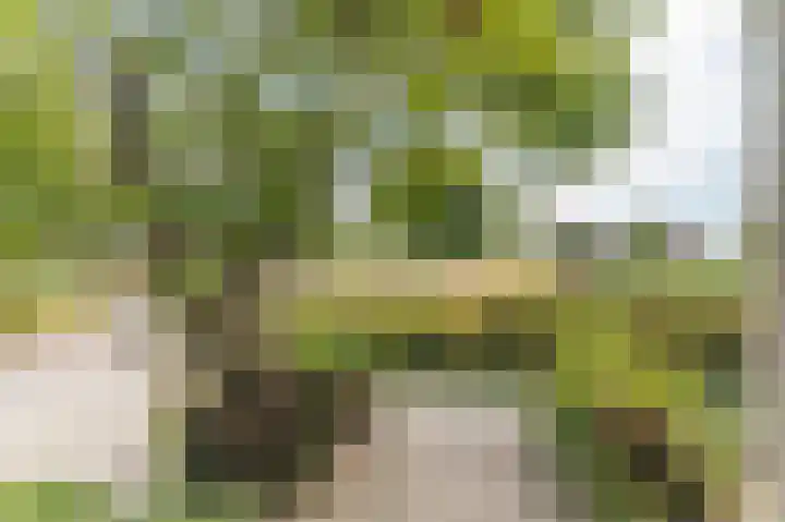 Augustinessenborch 1 Rosmalen thumbnail 38