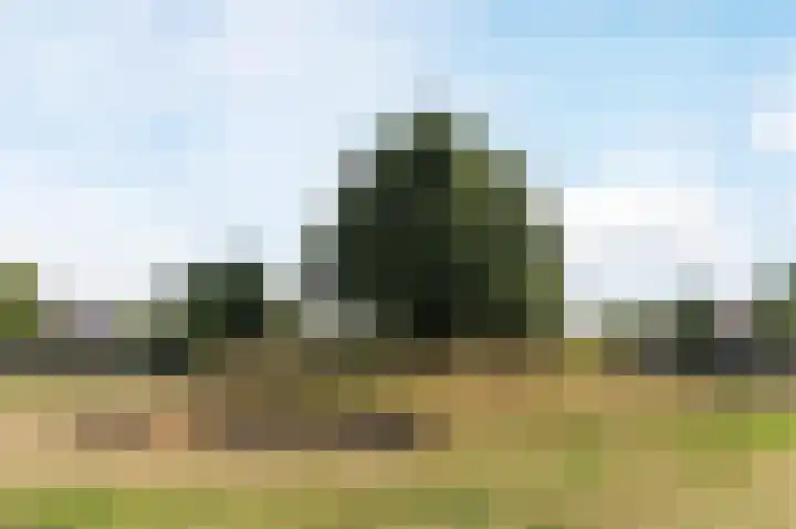 Augustinessenborch 1 Rosmalen thumbnail 39