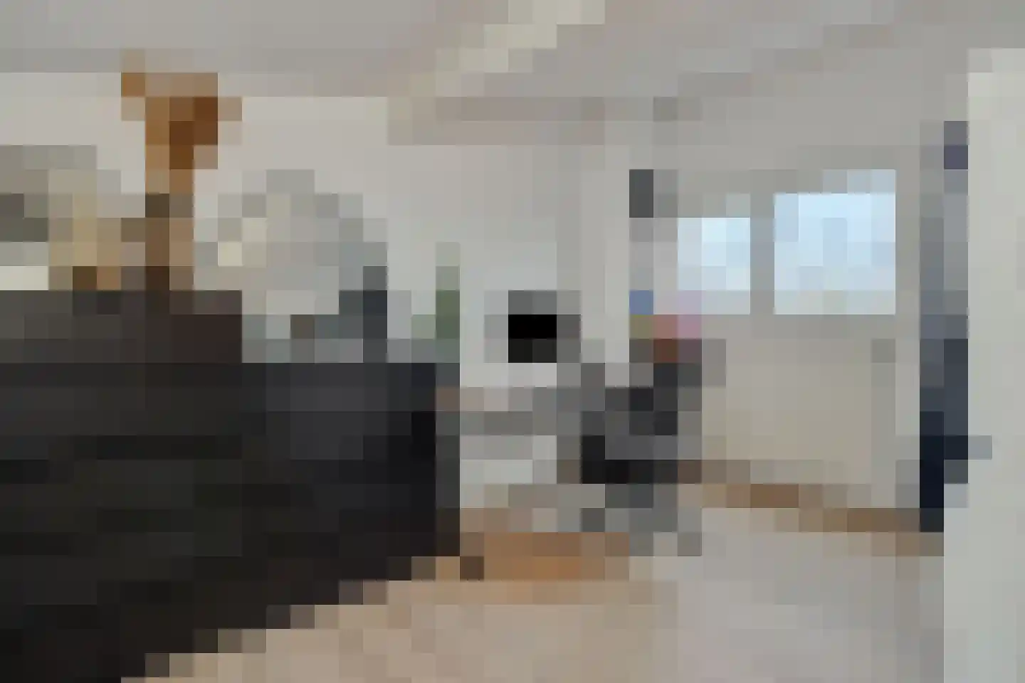 Augustinessenborch 22 Rosmalen thumbnail 17