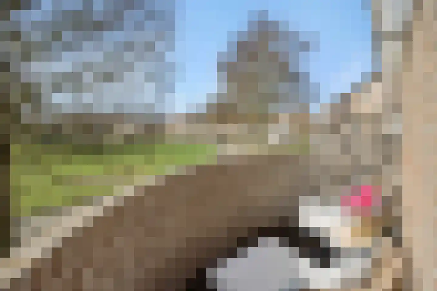 Augustinessenborch 22 Rosmalen thumbnail 4