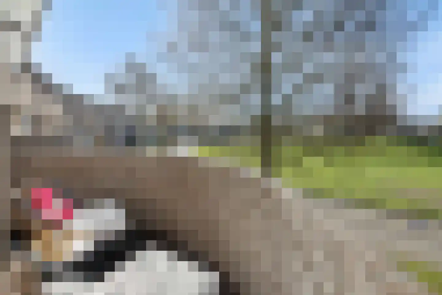 Augustinessenborch 22 Rosmalen thumbnail 5