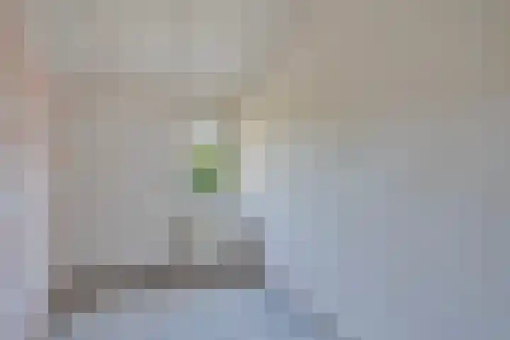 Augustinessenborch 26 Rosmalen thumbnail 13