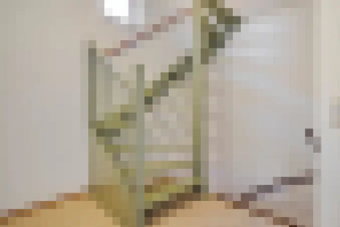 Augustinessenhof 14 Venray thumbnail 17