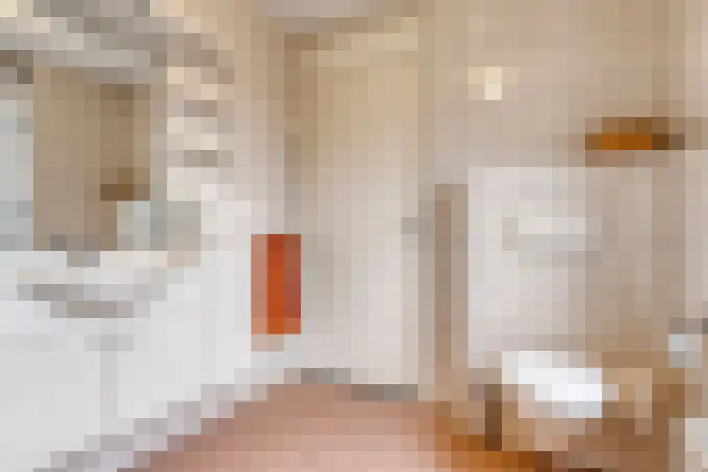 Augustinessenhof 14 Venray thumbnail 21