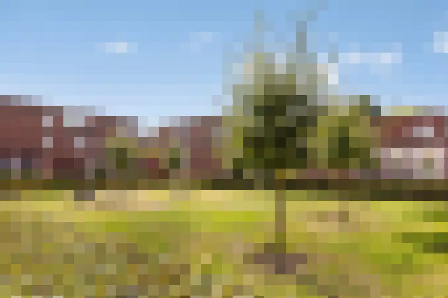 Augustinessenhof 14 Venray thumbnail 27