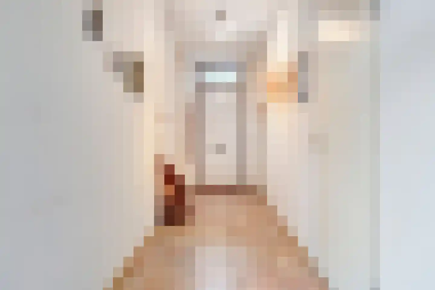 Augustinessenhof 14 Venray thumbnail 5
