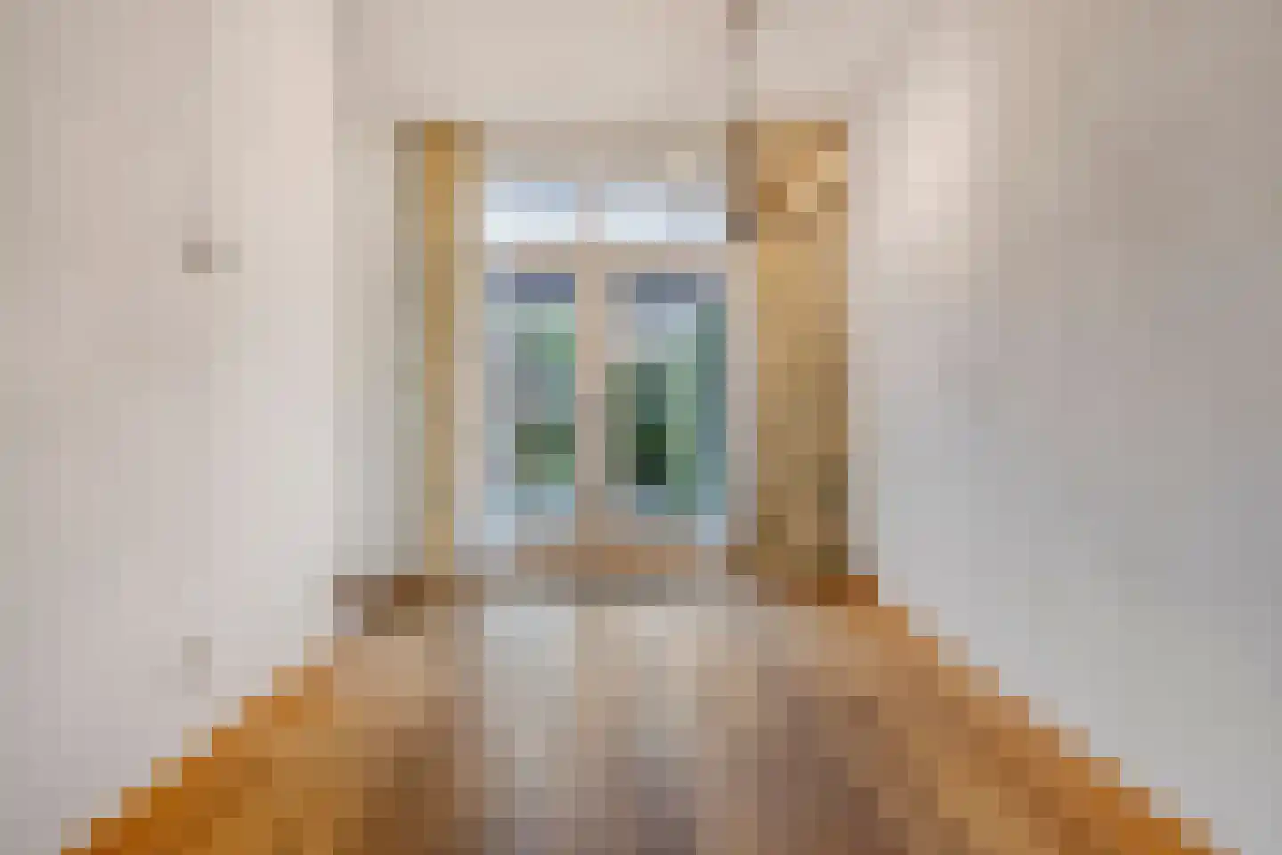 Augustinessenhof 14 Venray thumbnail 9