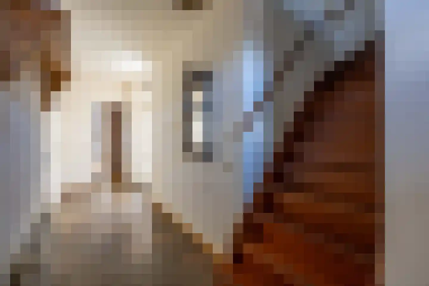 Augustinessenhof 16 Venray thumbnail 14