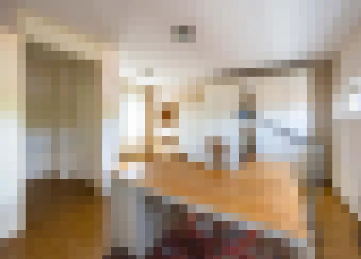 Augustinessenhof 16 Venray thumbnail 31