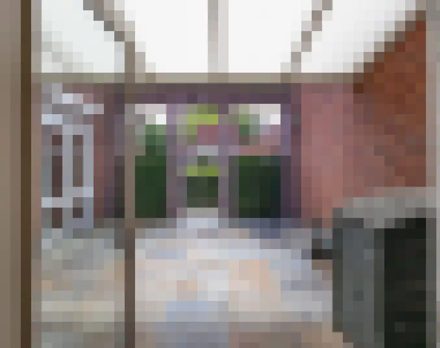 Augustinessenhof 16 Venray thumbnail 33