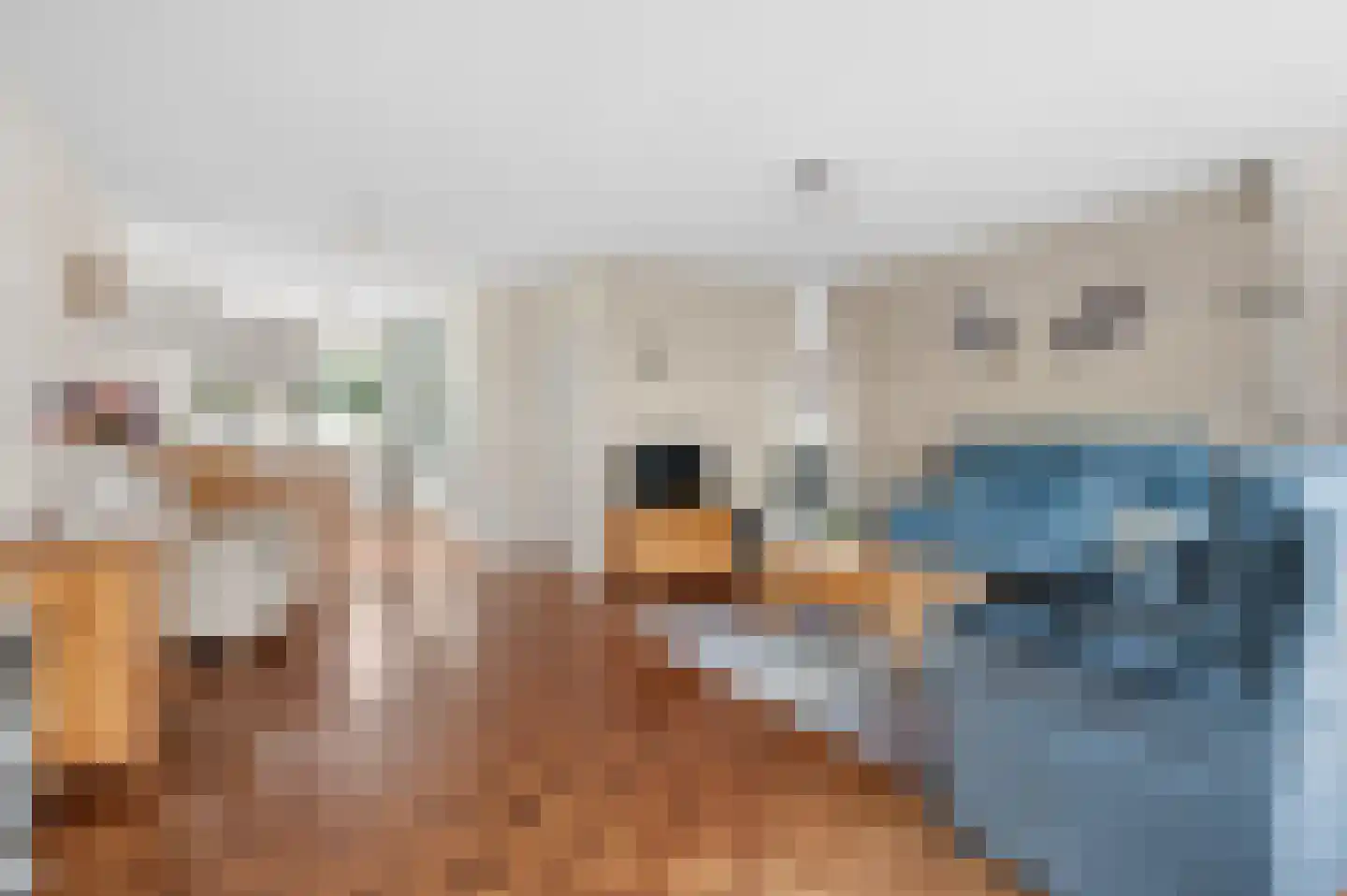 Augustinuserf 17 Amersfoort thumbnail 12