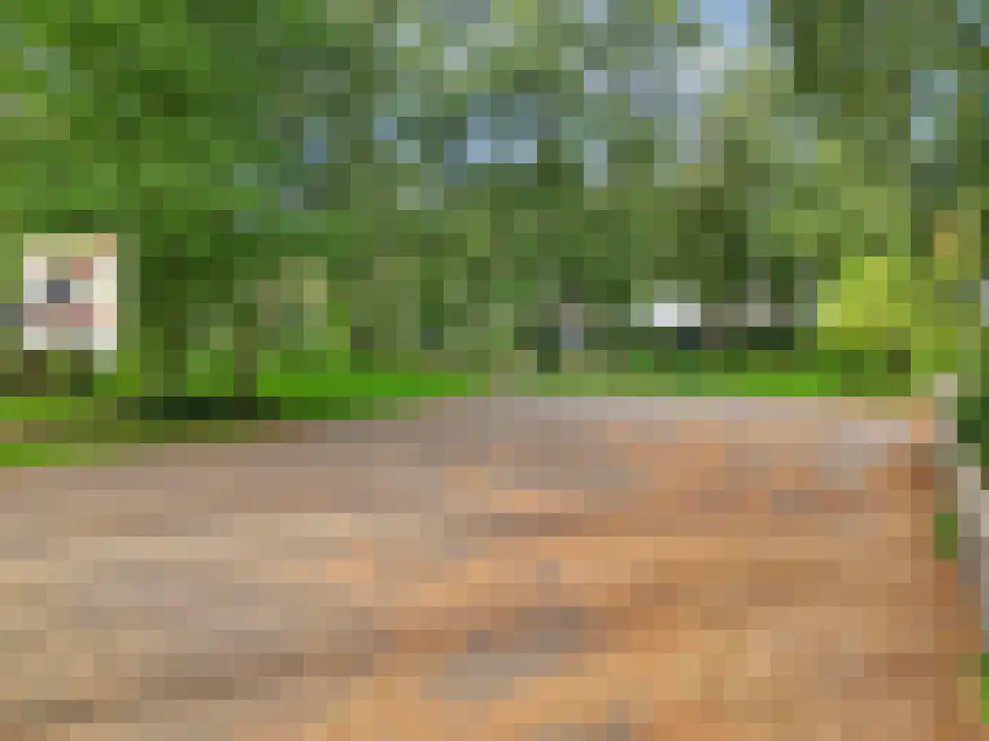 Augustinuserf 17 Amersfoort thumbnail 41