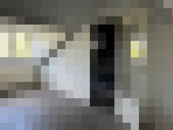 Augustinushof 120 Hilversum thumbnail 15