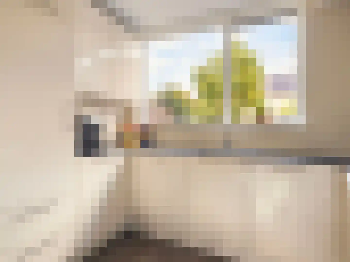 Augustinushof 15 Vianen thumbnail 16