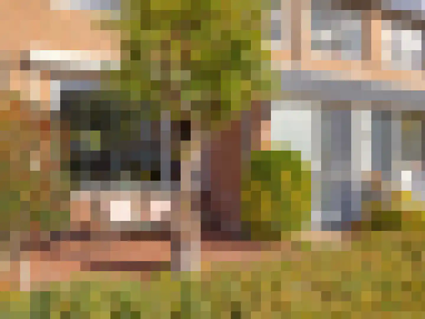 Augustinushof 15 Vianen thumbnail 40